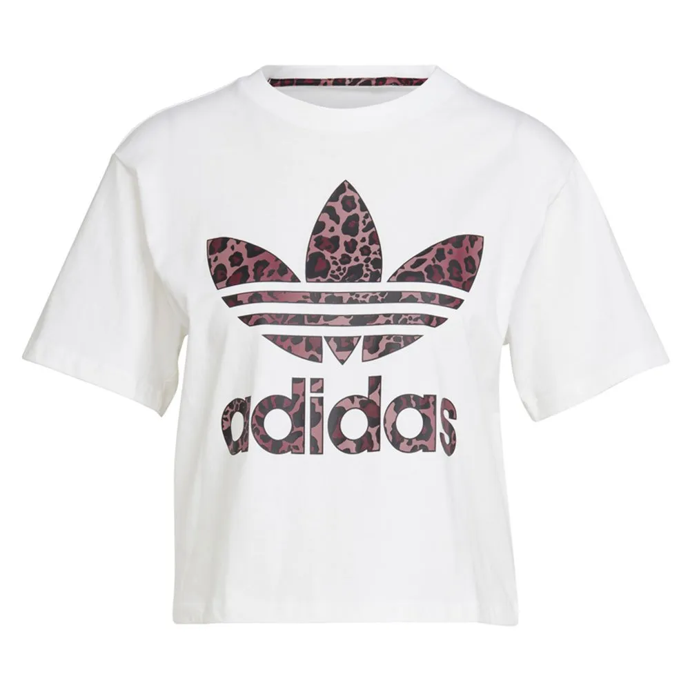 Adidas Originals Logo Short Sleeve T-Shirt 5 Adidas Originals Logo Short Sleeve T-Shirt - Image 3